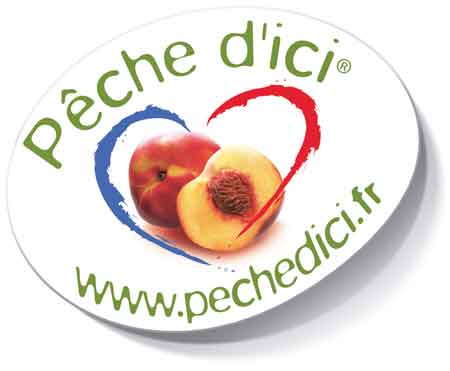 Logopecheici