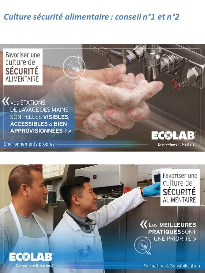 EColab 2