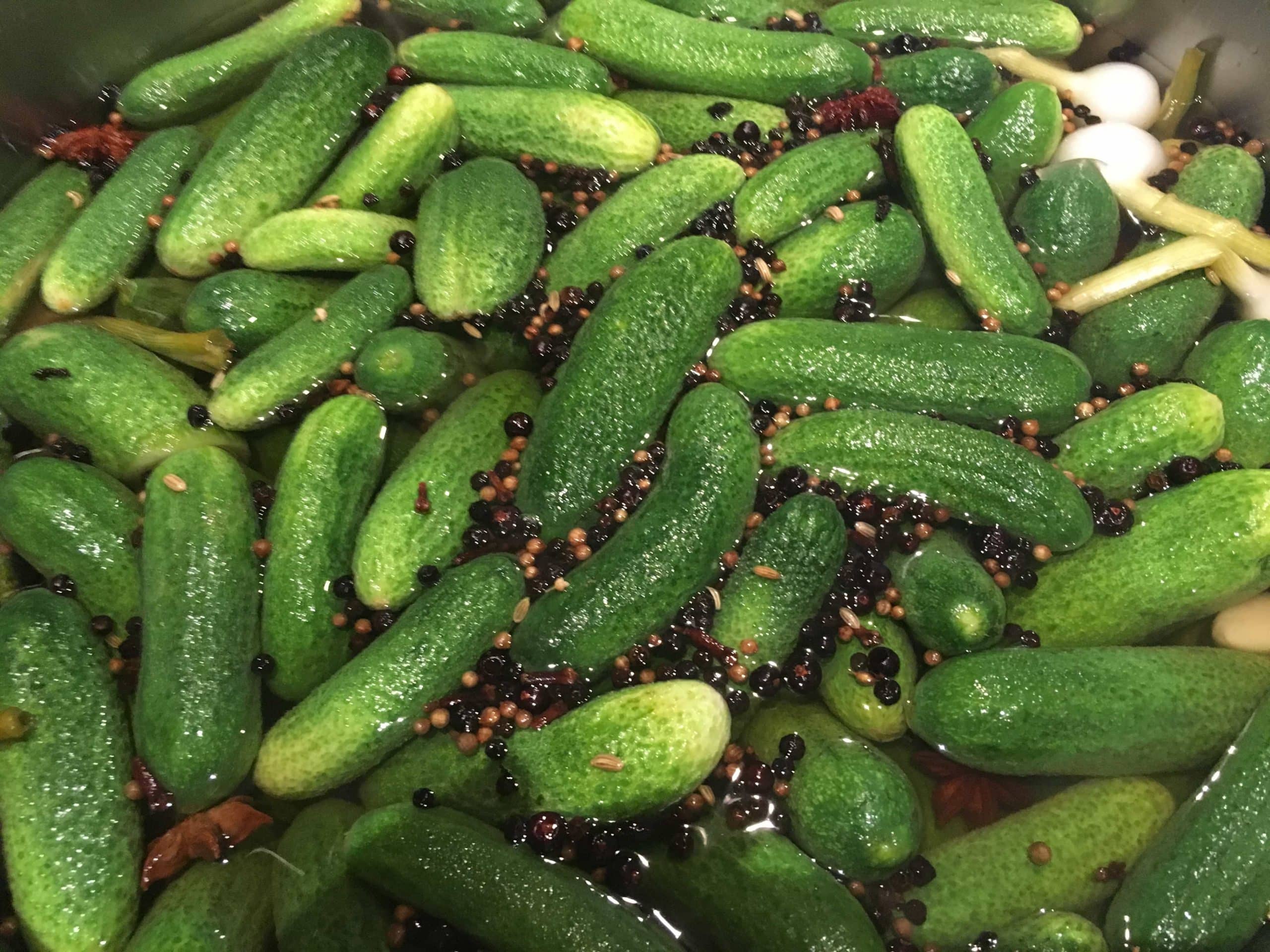 Cornichons en bocal (Pays-de-la-Loire & Bretagne)