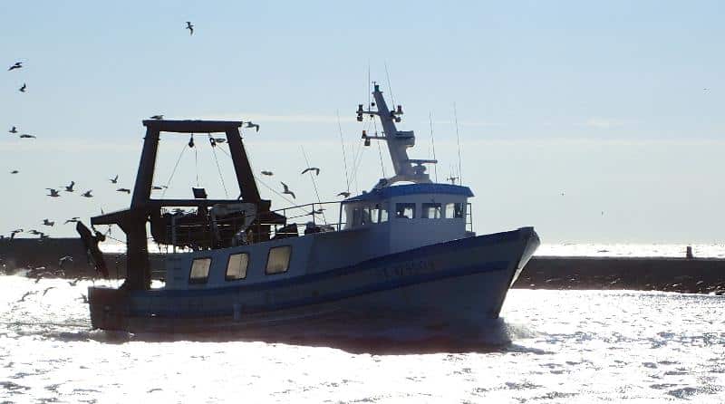 Chalutier méditerranéen du Grau-d'Agde