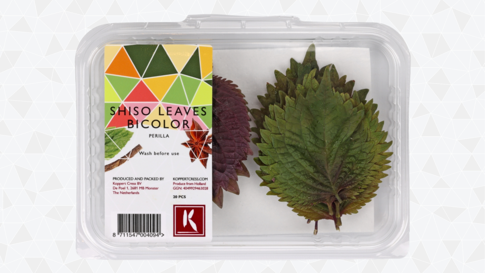Kopperts cress - tray-shiso-leaves-bicolor-463