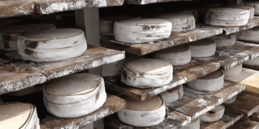 Le retour d’une star de nos plateaux de fromages : le Mont d’Or