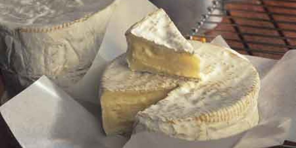 1791-2011, le Camembert de Normandie a 220 ans !