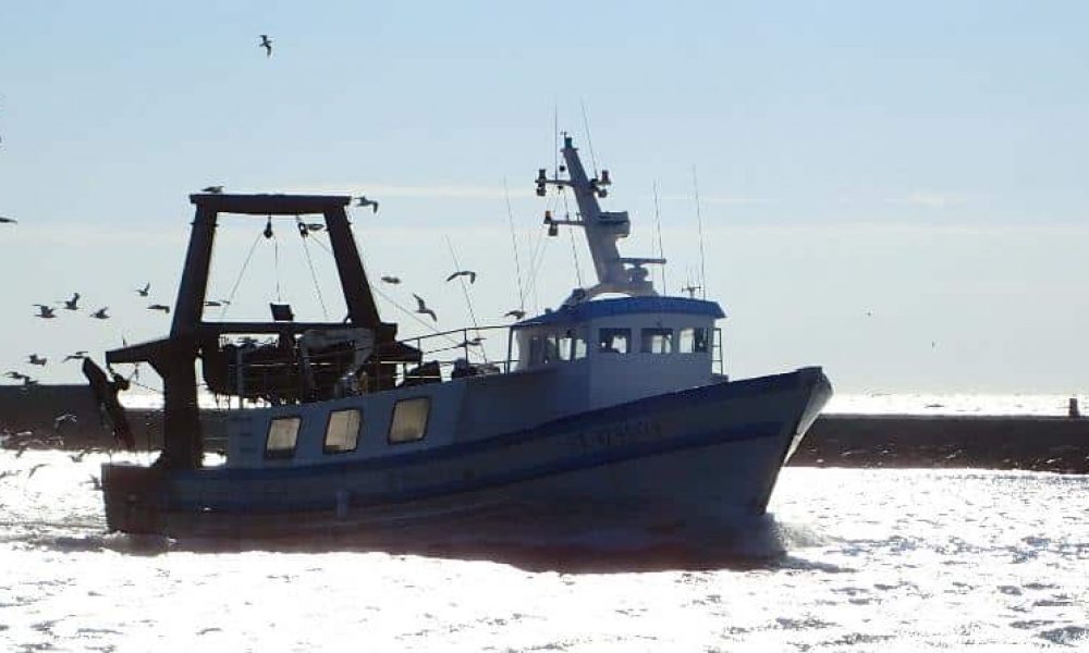 La pêche méditerranéenne sur la façade française
