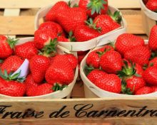 La fraise de Carpentras officiellement protégée