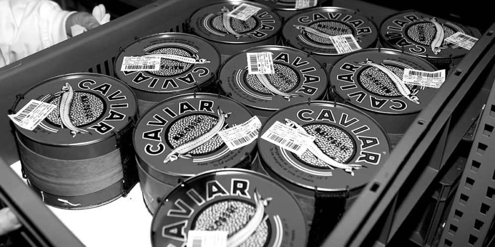 Le caviar, produit saisonnier