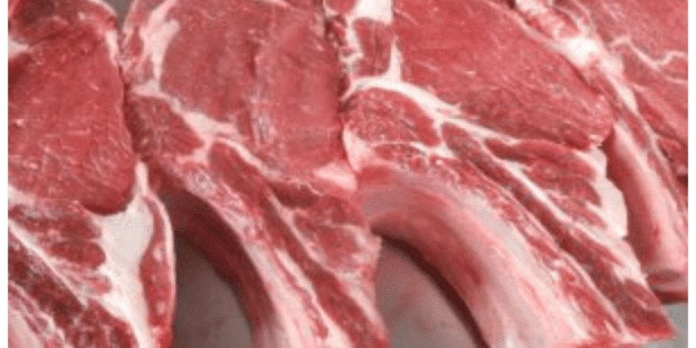 Euro-Toques France dit NON à « viande » de laboratoire issue de cellules souches