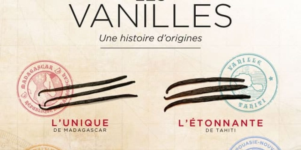 La Vanille : des origines, des saveurs !