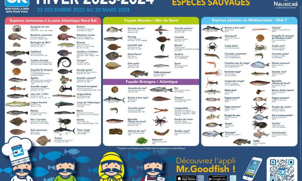 MisterGoodfish ne présente son calendrier des pêches pour cet hiver