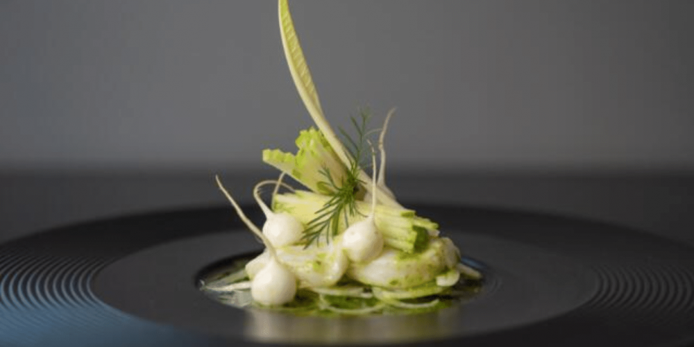 Koppert Cress dévoile la collection « White vegetales » – « légumes blancs »