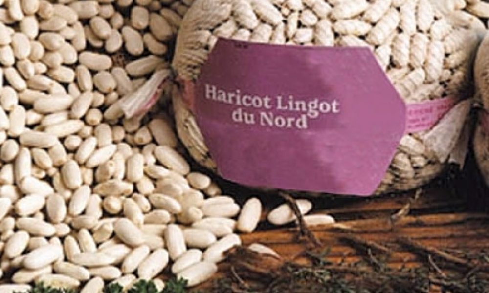 Le Lingot du Nord