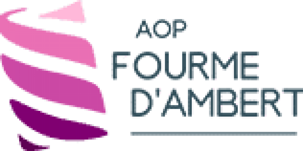 La Fourme d’Ambert, une histoire passionnante