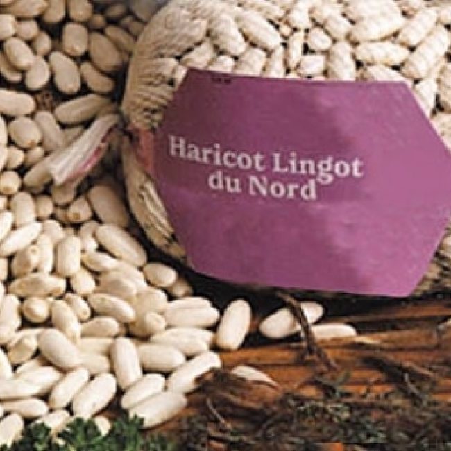 Le Lingot du Nord