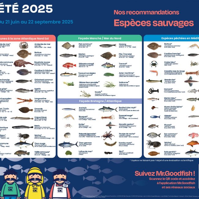À l’arrivée de l’été, Mr.Goodfish nous fait ses recommandations