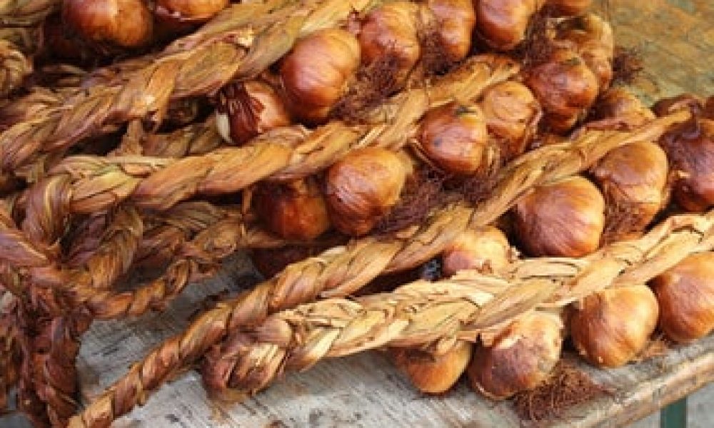 Ail Fumé 1