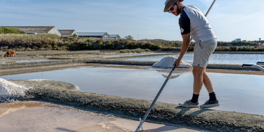 La Fleur de sel, signature gourmande des marais salants