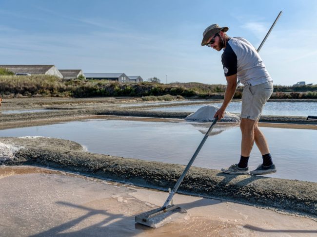 La Fleur de sel, signature gourmande des marais salants