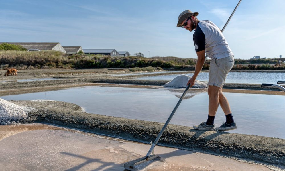 La Fleur de sel, signature gourmande des marais salants