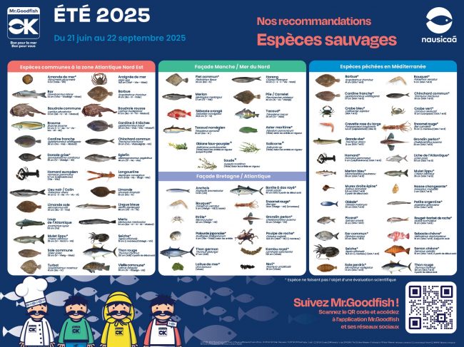 À l’arrivée de l’été, Mr.Goodfish nous fait ses recommandations