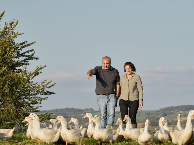 La filière canard Rougié : de la ferme à l’assiette, l’excellence maîtrisée