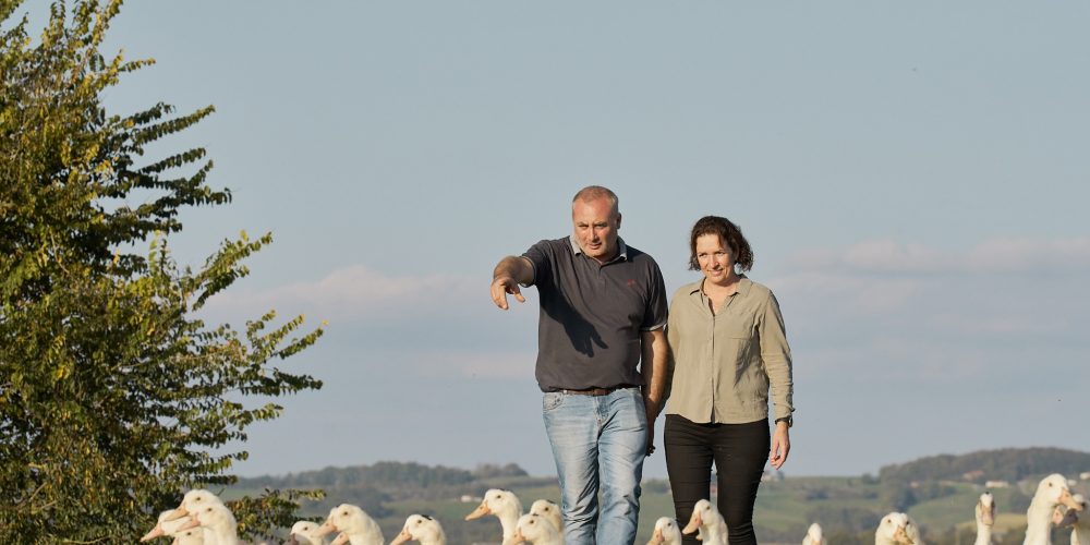 La filière canard Rougié : de la ferme à l’assiette, l’excellence maîtrisée