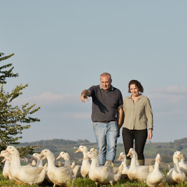 La filière canard Rougié : de la ferme à l’assiette, l’excellence maîtrisée