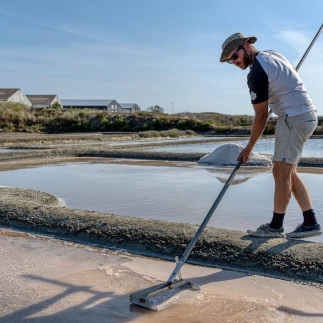 La Fleur de sel, signature gourmande des marais salants