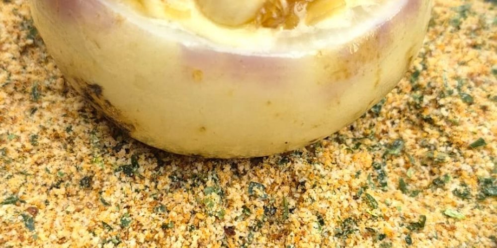 Le navet tout juste sorti de terre