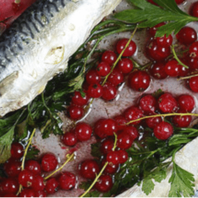 Sardines de Concarneau à la groseille fraîche