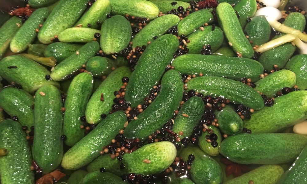 Histoires gourmandes – Le cornichon