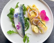 Filets de maquereau snackés, petites pommes de terre de l’Île de Ré et salicornes fraîches