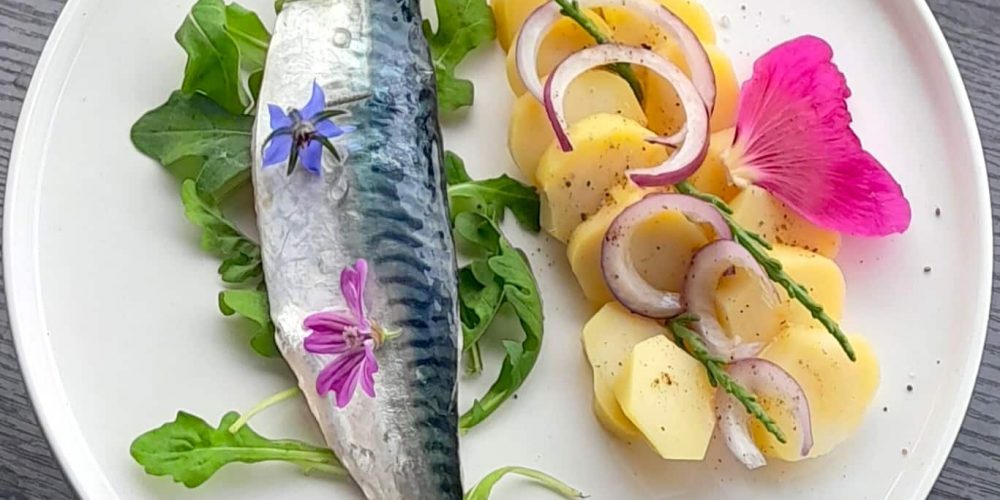 Filets de maquereau snackés, petites pommes de terre de l’Île de Ré et salicornes fraîches