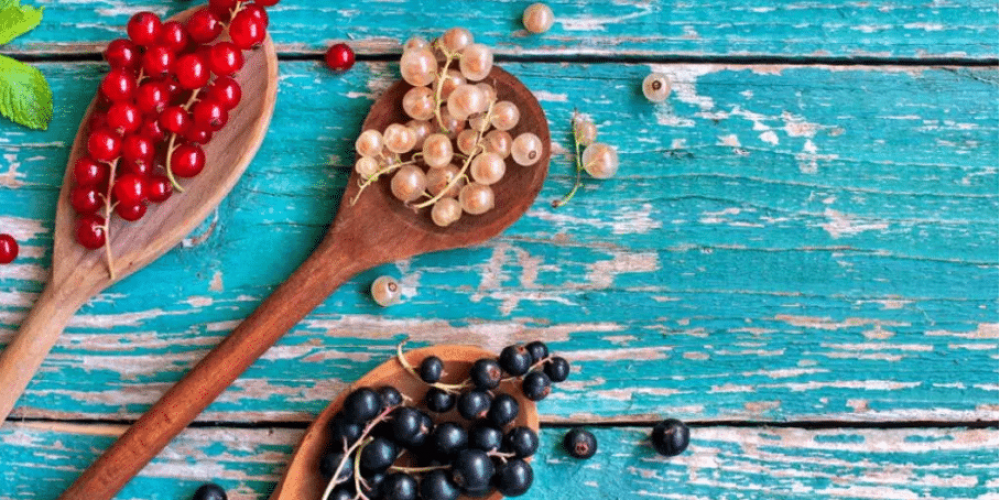 Petite histoire de la groseille