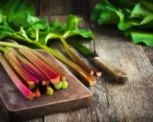 Petite histoire de la rhubarbe