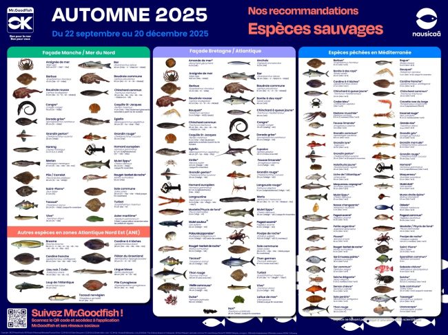 Mr.Goodfish nous fait ses recommandations pour cet automne