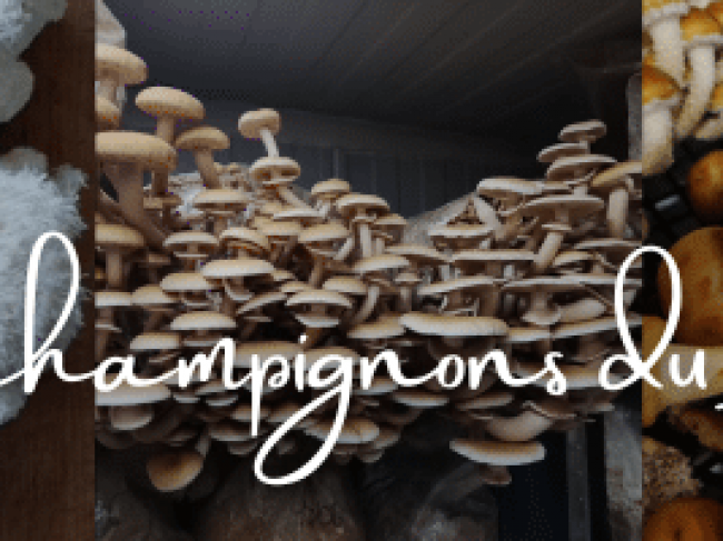 Une nouveauté qui va étonner !