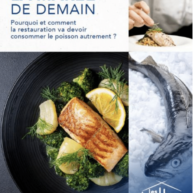 METRO France présente son nouveau guide digital « La Marée de demain – consommer le poisson autrement »