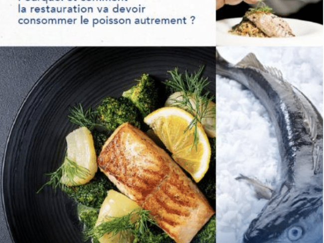 METRO France présente son nouveau guide digital « La Marée de demain – consommer le poisson autrement »