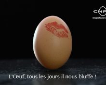 Journée mondiale de l’Œuf
