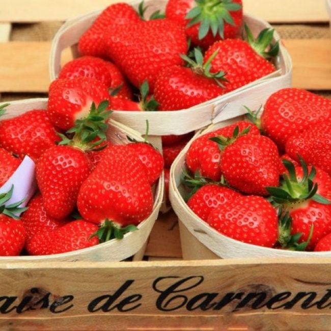 La fraise de Carpentras officiellement protégée