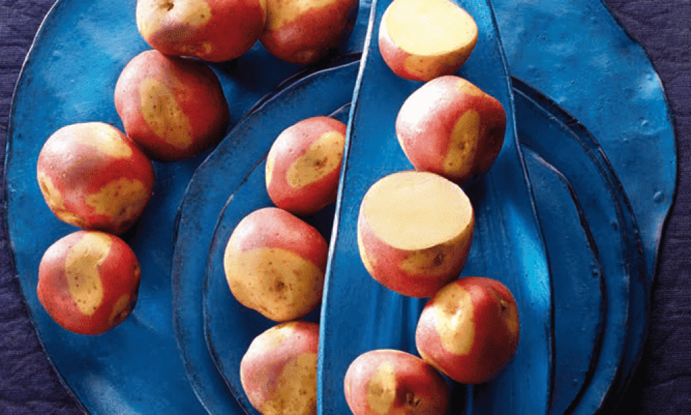 Pomme de Terre Miss Blush Métro