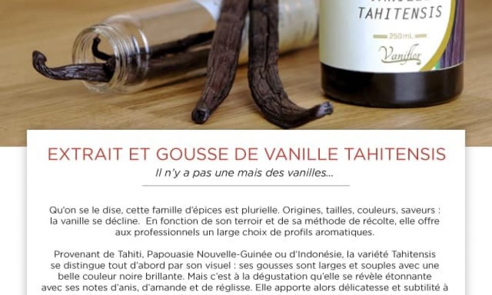 newsletter EUROTOQUES dec 2017 2