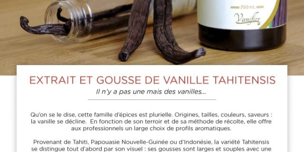 Il n’y a pas une, mais des vanilles …