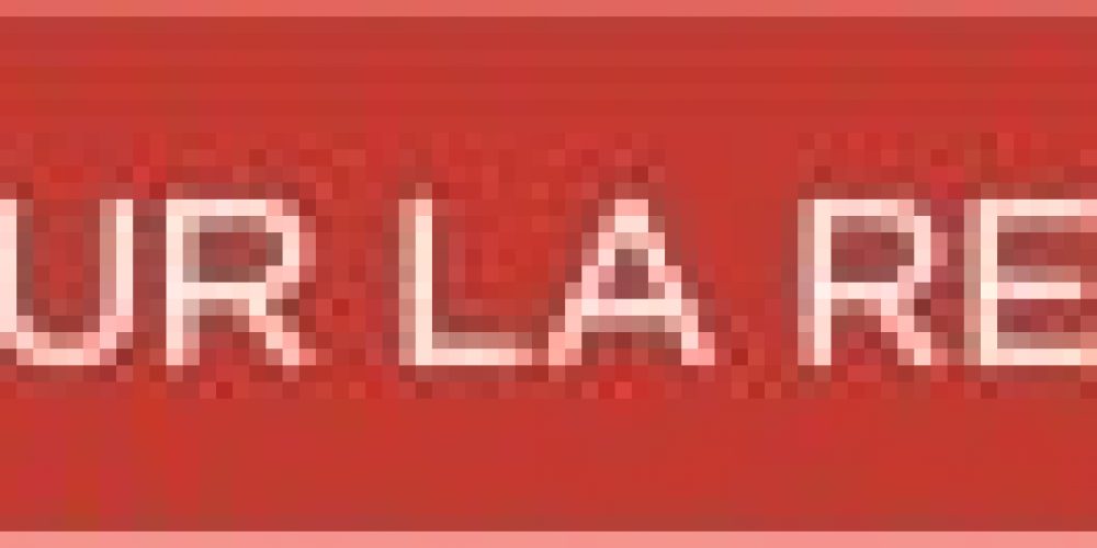 Découvrez les saveurs uniques de nos Vanilles du Monde