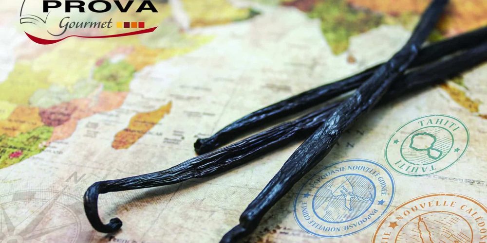 La Vanille : des origines, des saveurs !