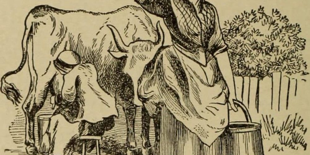 Histoire. Pénurie de beurre : un comble pour un produit qui fit la réputation de la Normandie !