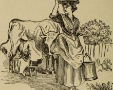 Histoire. Pénurie de beurre : un comble pour un produit qui fit la réputation de la Normandie !