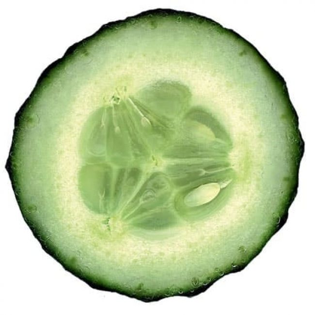 Le Concombre : un produit de saison que les chefs Euro-Toques soutiennent