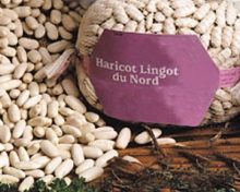 Le Lingot du Nord
