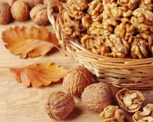 Tout savoir sur la noix